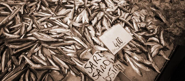 Fresh whole sardines packed on ice with a handwritten market price card — the seafood behind Whiskey & Water&rsquo;s menu